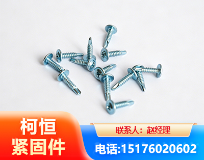 毕节华司钻尾丝