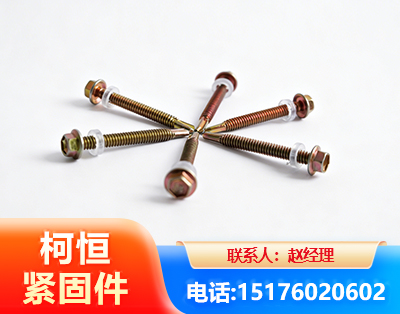 毕节六角钻尾丝