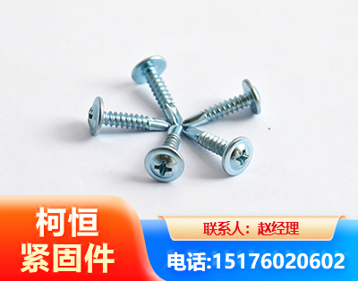 毕节华司钻尾丝