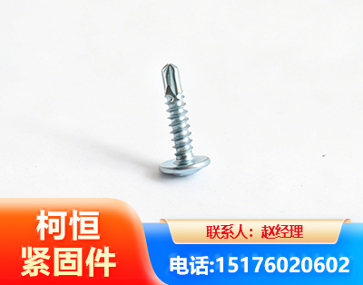 毕节华司钻尾丝