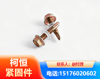 毕节六角钻尾丝